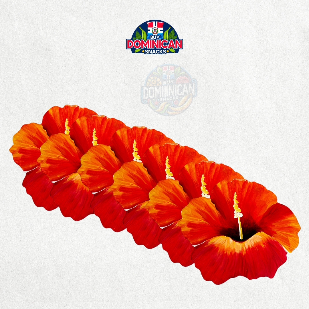 Dominican-Inspired Coasters: Avocado, sunflower, Hibiscus Flower, and Countryside - 6 pcak