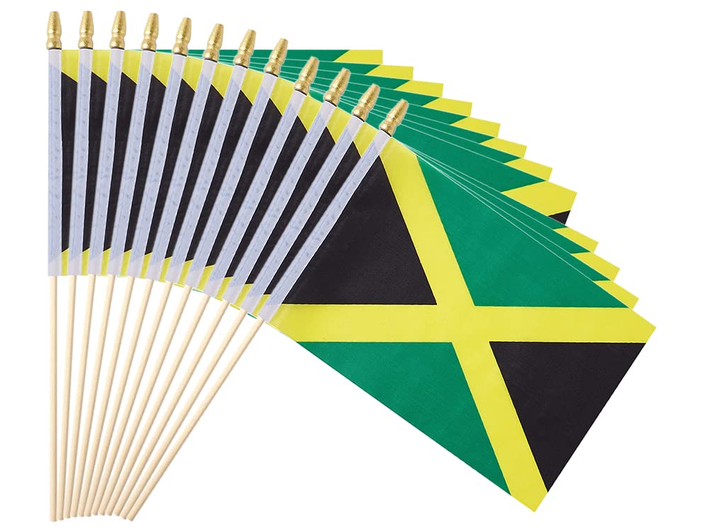 25Pack Small Dominica Flag Handheld Mini Dominican Flag on Stick 5x8 Inch