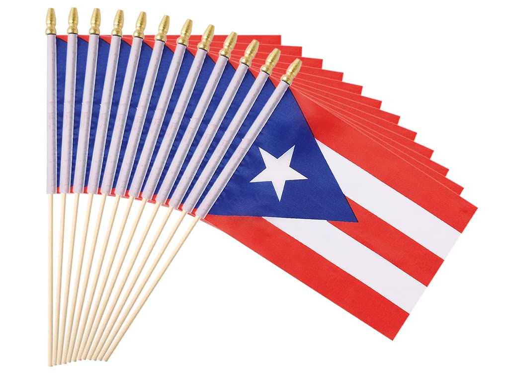 25Pack Small Dominica Flag Handheld Mini Dominican Flag on Stick 5x8 Inch