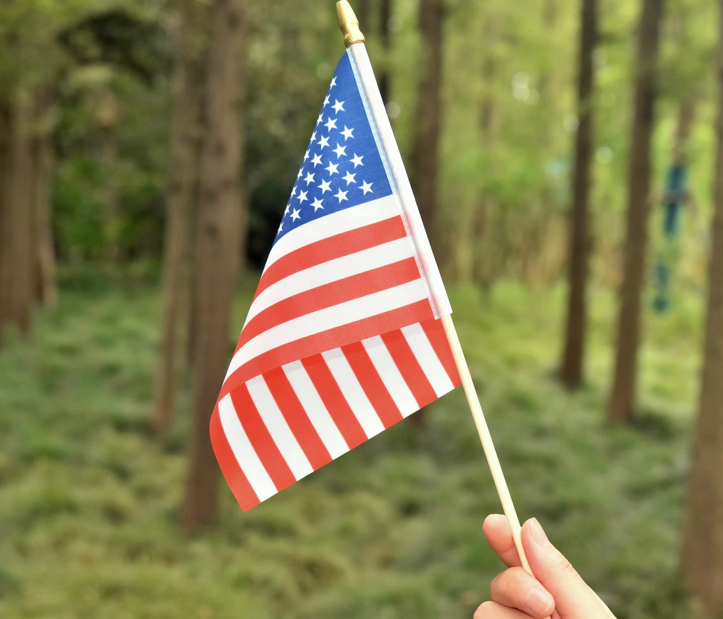 25Pack Small Dominica Flag Handheld Mini Dominican Flag on Stick 5x8 Inch